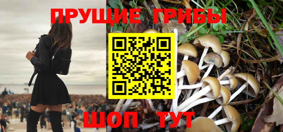 Псилоцибиновые грибы Psilocybe  Вход с VPN  Галлюциногенные грибы ЛСД  Можайск 